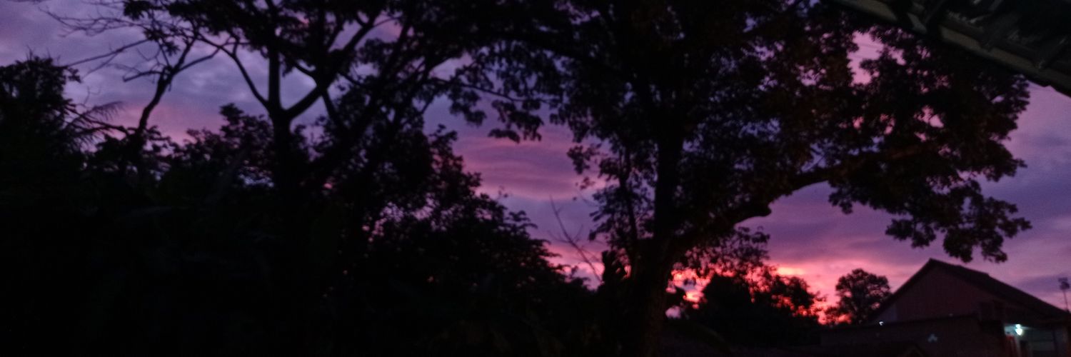 moooonnlie's profile banner image