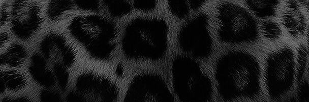 THT_3333's profile banner image