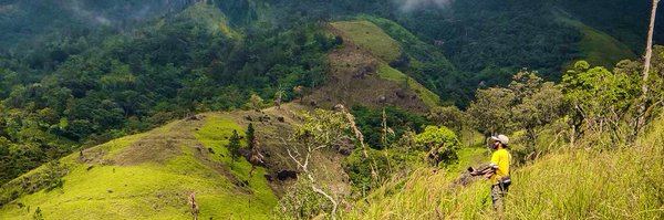 DulithK Profile Banner