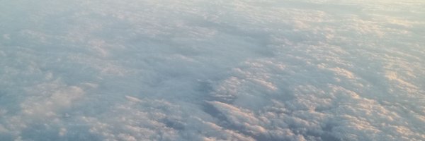 manini_m Profile Banner