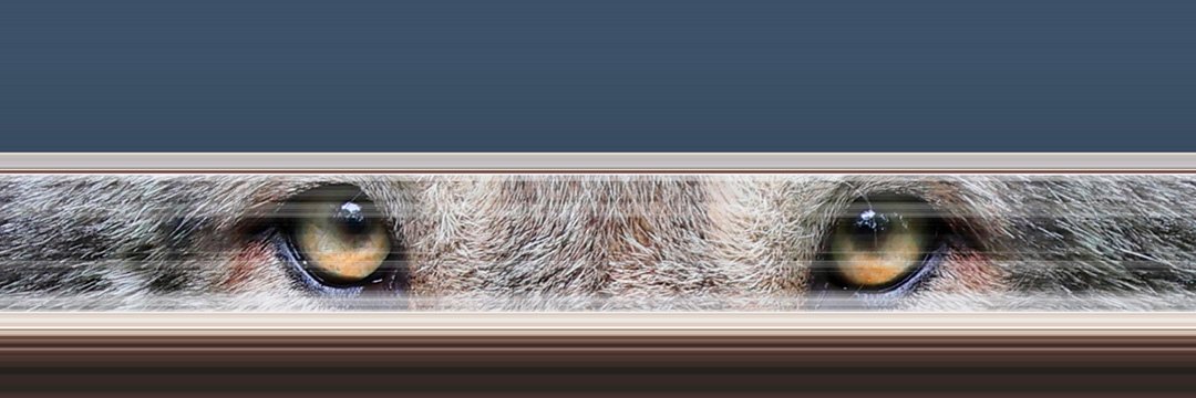 Marie Möör et Les Autres Couleurs banner