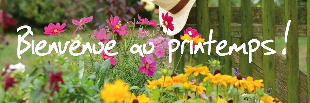 fleuriste's profile banner image