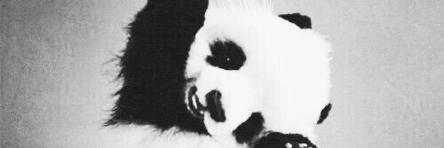 SIMPS0NETTE's profile banner image