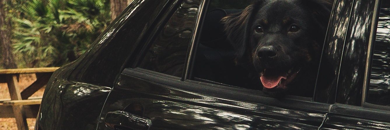 BobbyJc7744's profile banner image