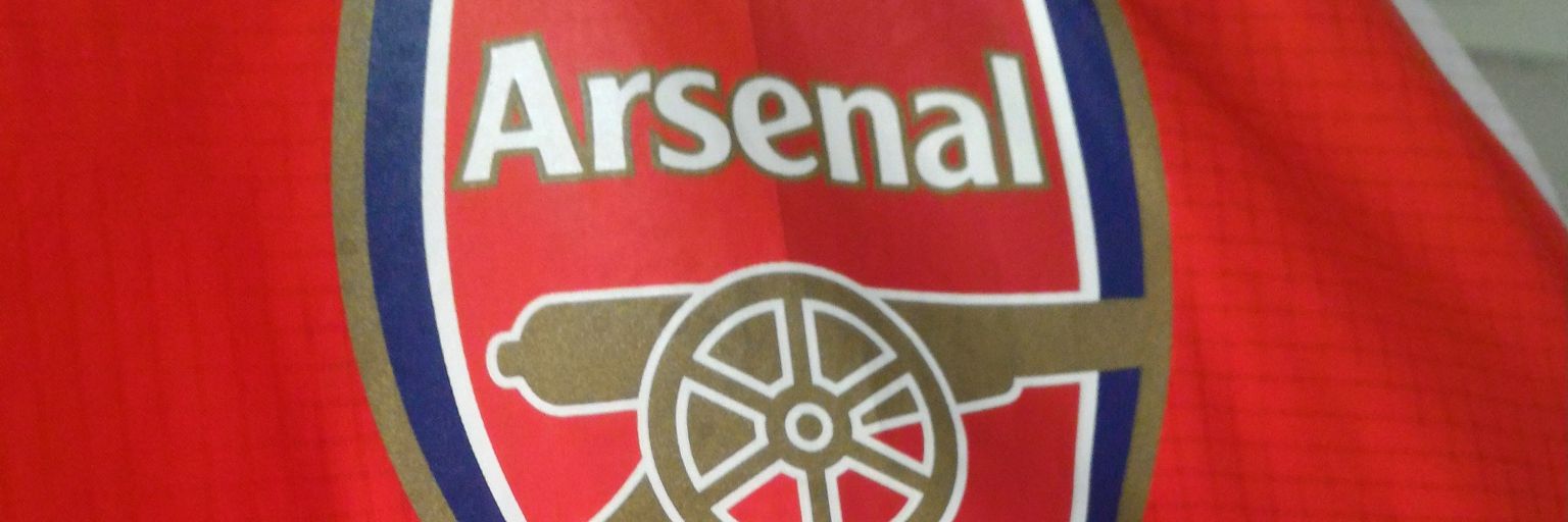 bungaldo's profile banner image