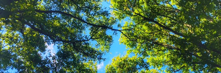 DeryaAY4's profile banner image