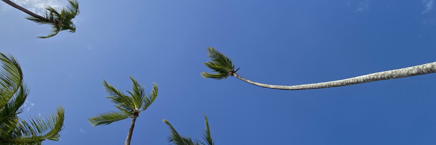 AshGranados's profile banner image