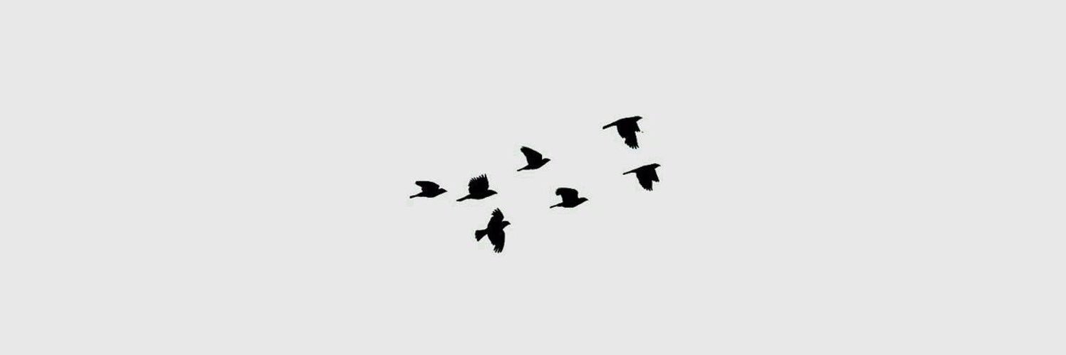 ruu1__'s profile banner image