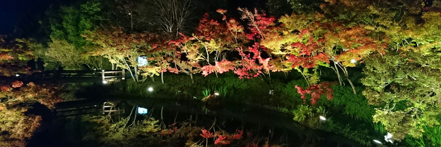 rnr8118's profile banner image