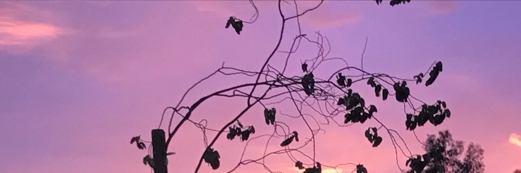 ekburns's profile banner image