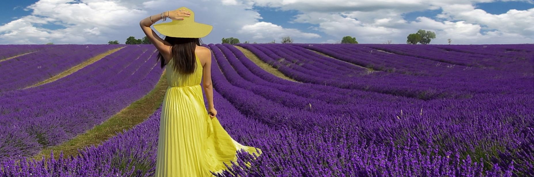 CatherineRaud's profile banner image