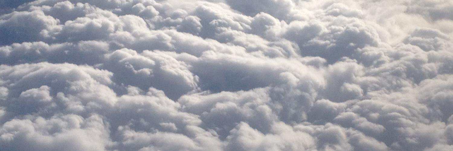 Michelle Castellani banner