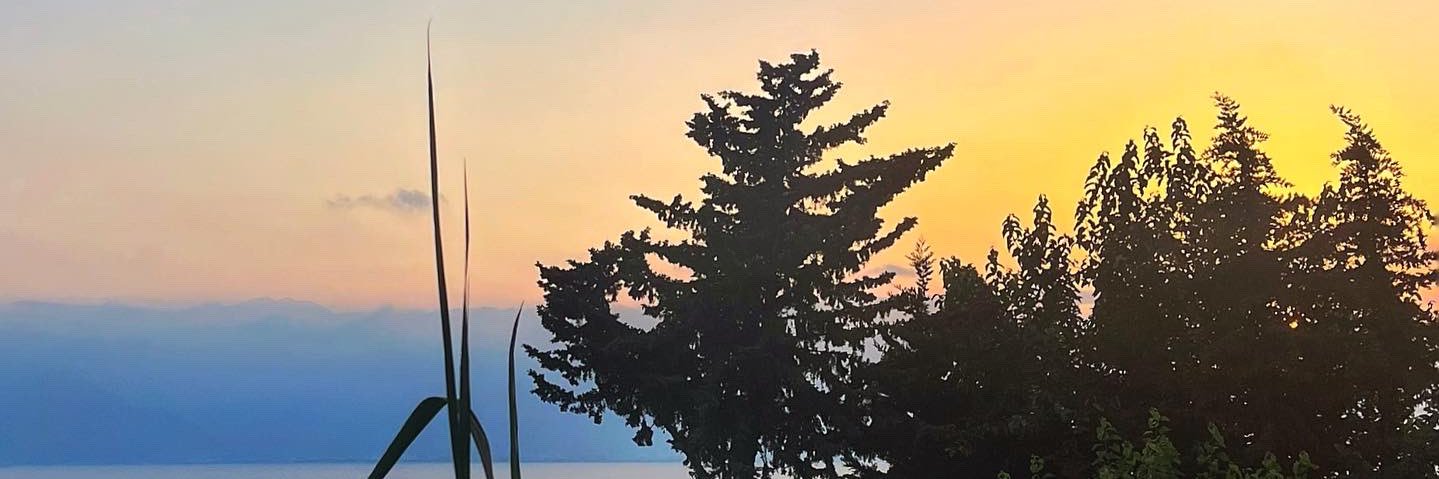 busrakbey's profile banner image
