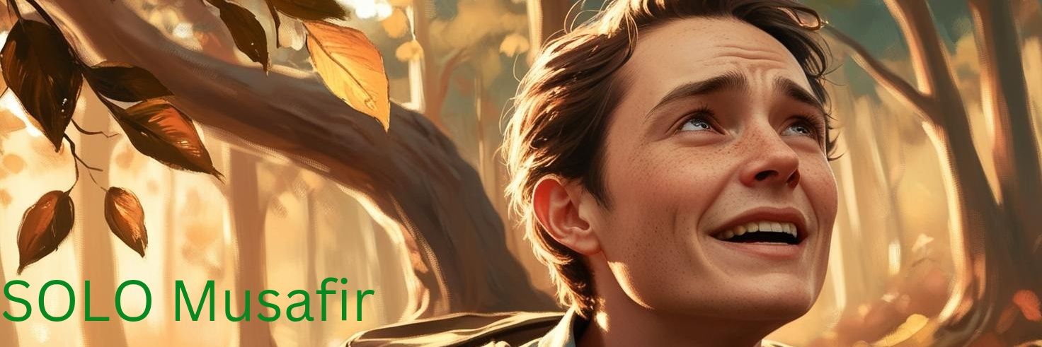 Solo_Musafir's profile banner image