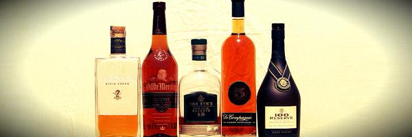 brandyandginger Profile Banner