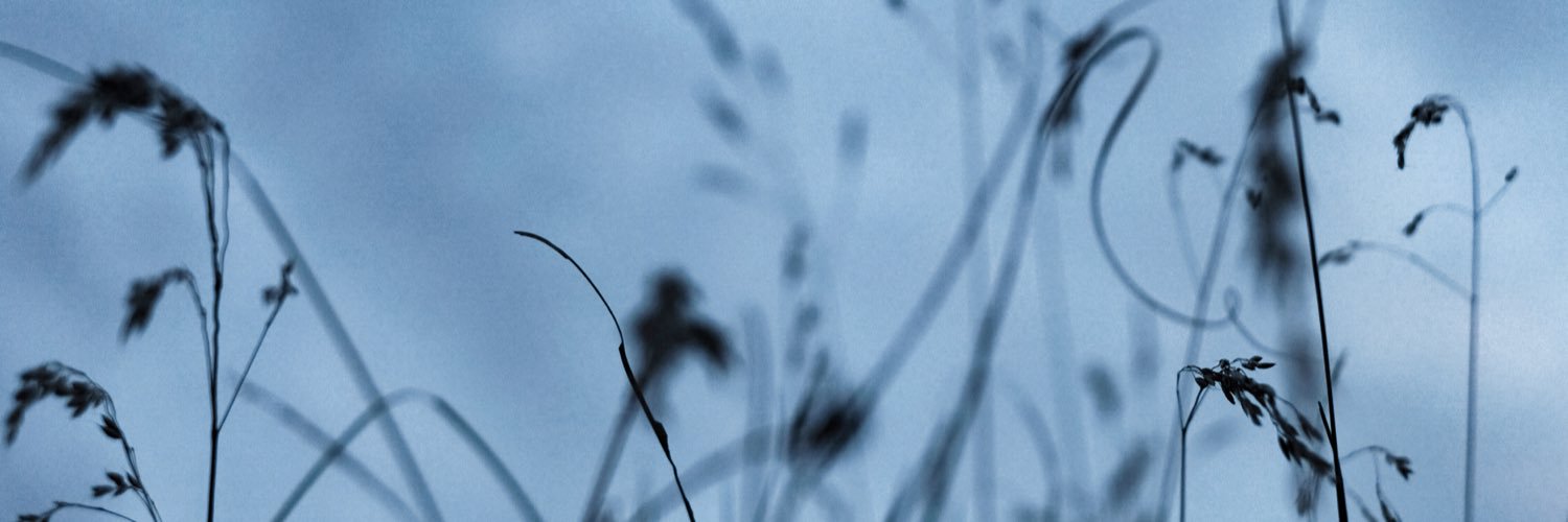 Morten Fog banner