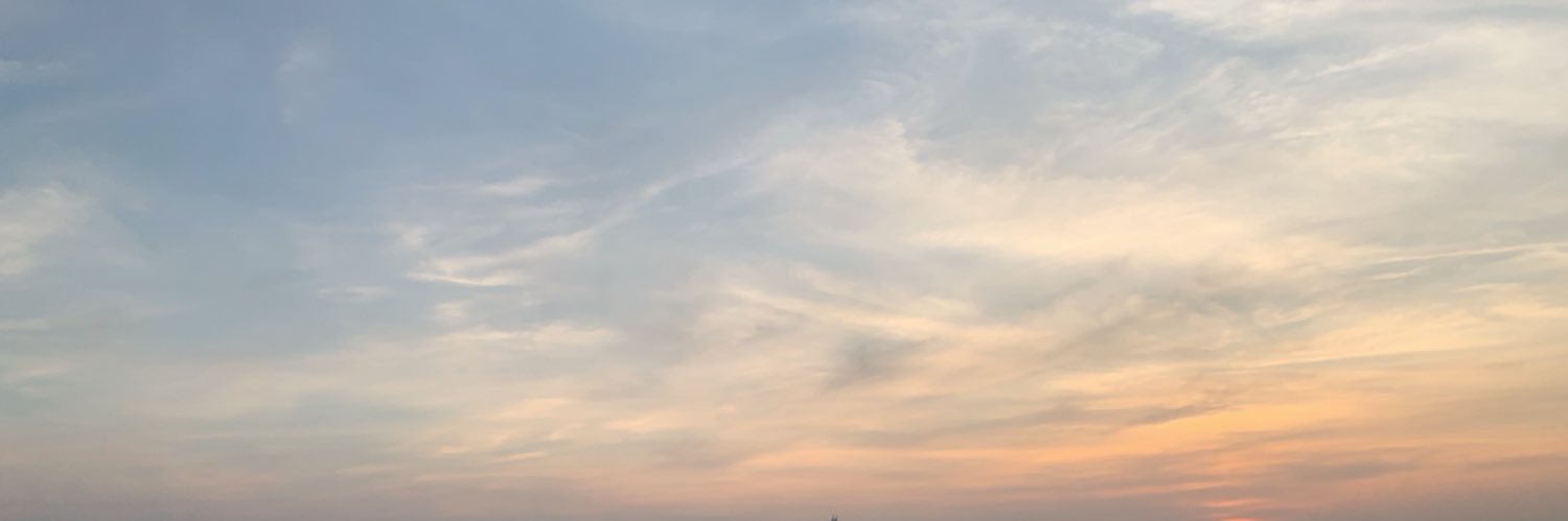 Thin_Marie's profile banner image