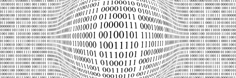 Brian T. Petterson banner