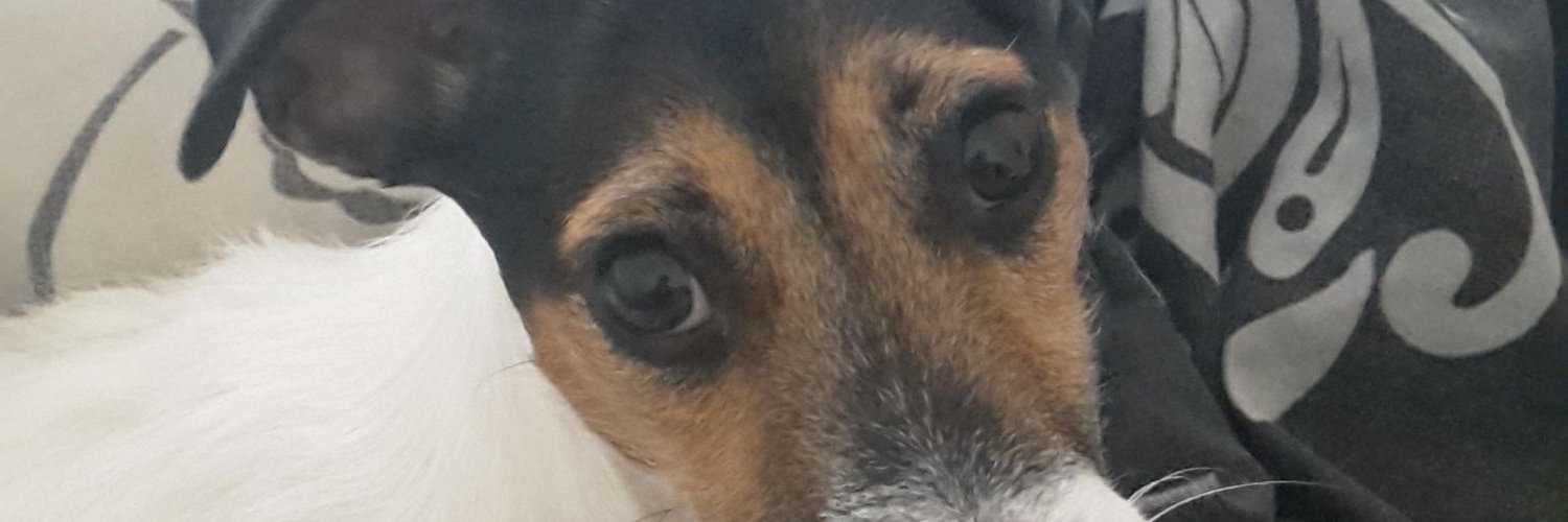 The_Roberts_'s profile banner image