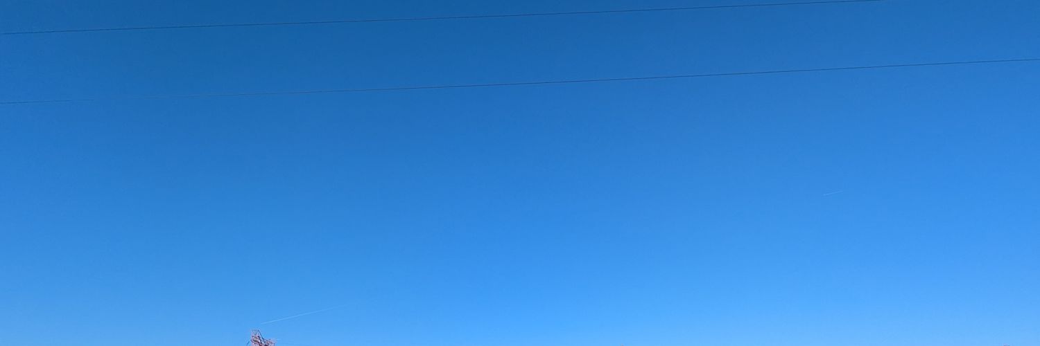monaco_elise's profile banner image