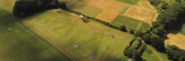 RobbieGirling Profile Banner