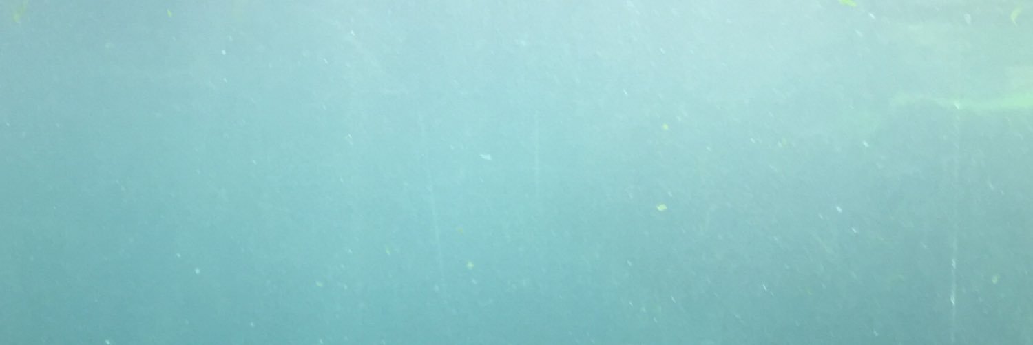 _evamue's profile banner image
