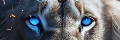 Mahacantya's profile banner image