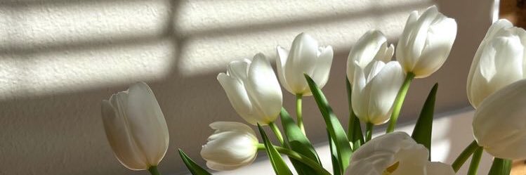 Swaradinaaa's profile banner image