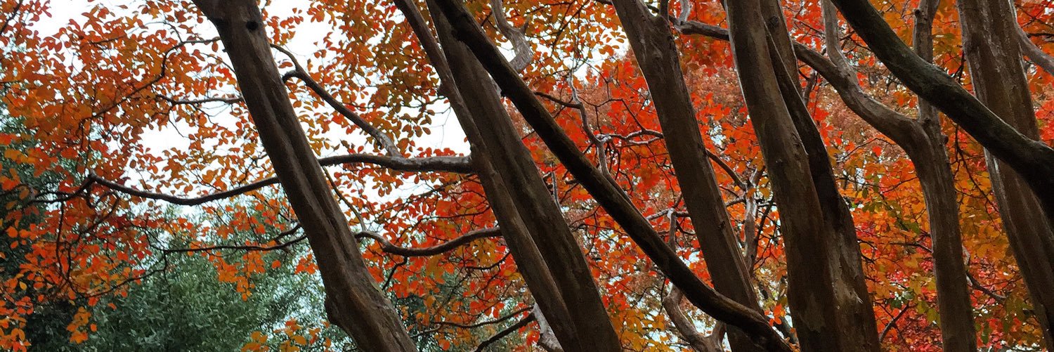 KellyMarie223's profile banner image
