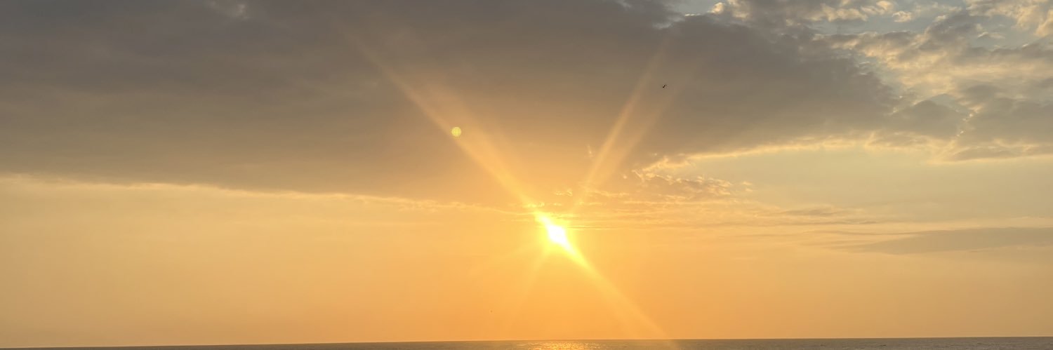 tracieannv's profile banner image