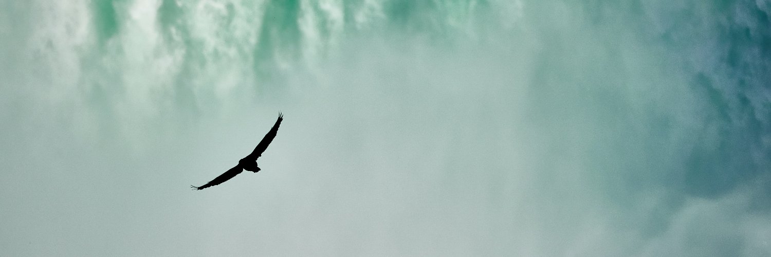 Hannah Mohandass banner