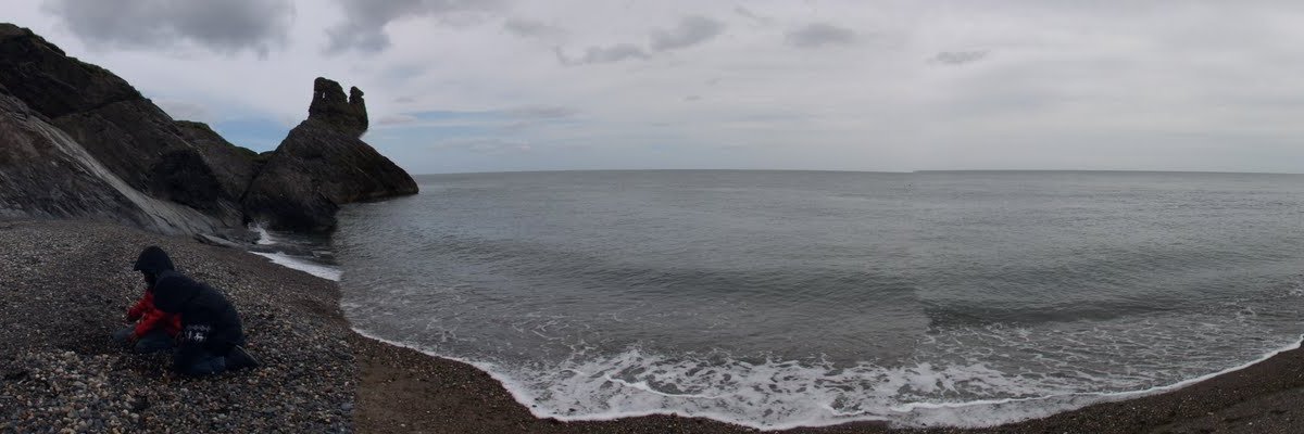 shanemohan's profile banner image