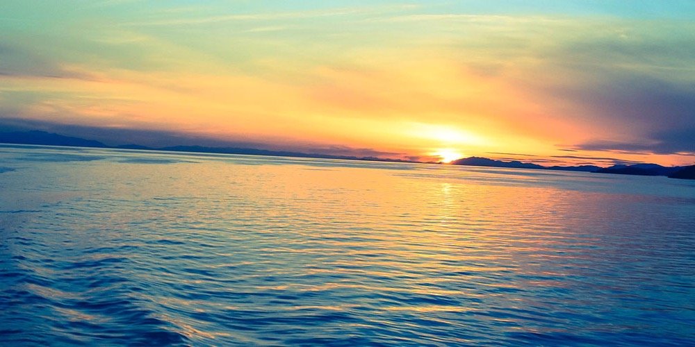 jonathanattal's profile banner image
