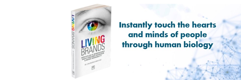 BrandAviators's profile banner image