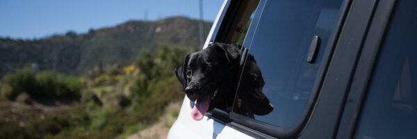 NOTCOT Profile Banner