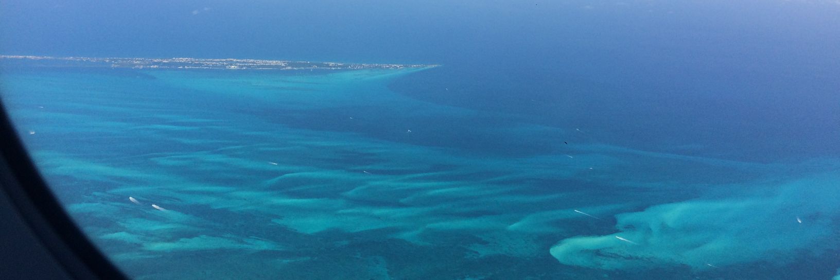 Claudia Cantoni banner