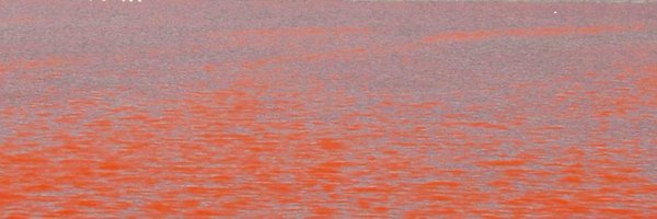 phlode Profile Banner