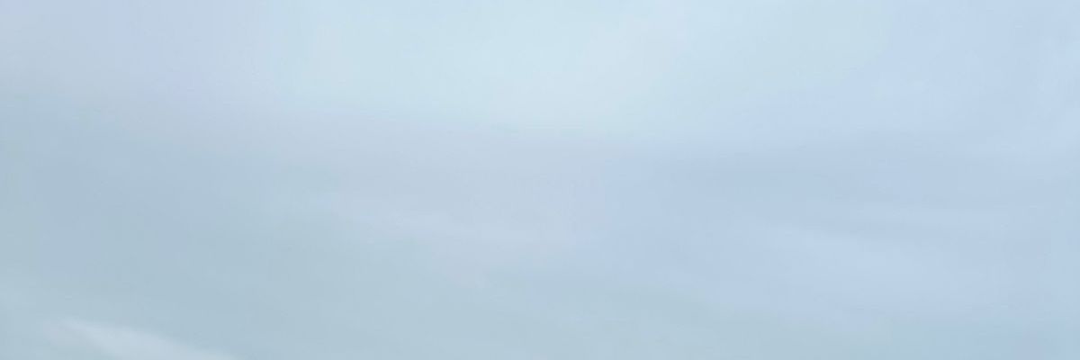 شيماء banner