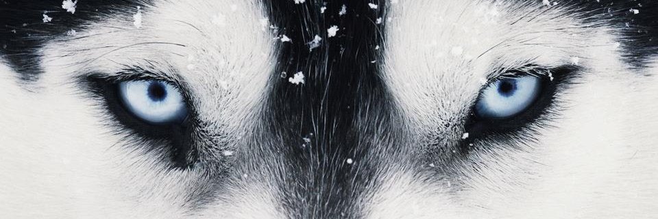 EqualHuman28's profile banner image