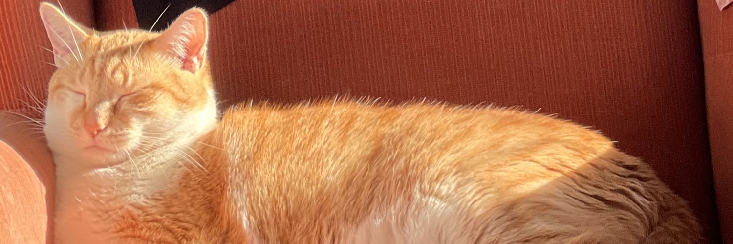 KellyKutsor's profile banner image