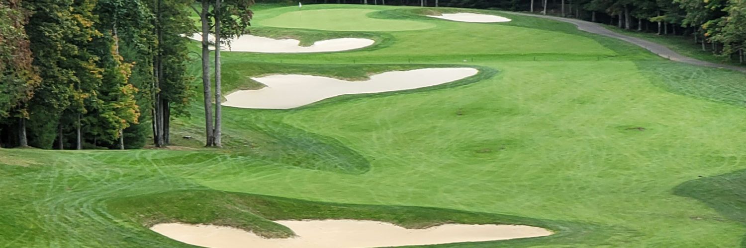 TDelatore's profile banner image