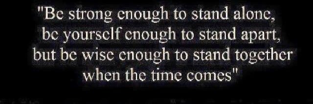 James Macdougall banner