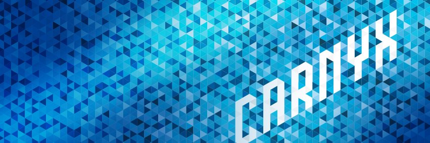 CarnyxComm's profile banner image