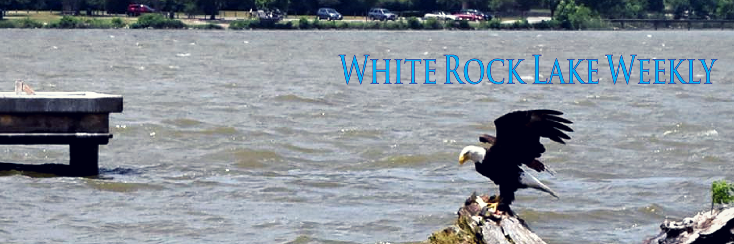 WhiteRockLakeWeekly banner