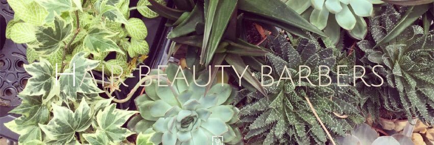 thetopiarysalon's profile banner image