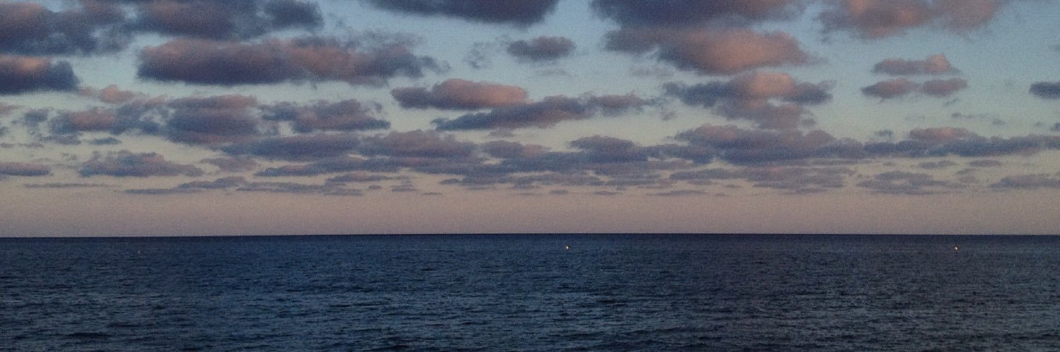 joanmguasch's profile banner image