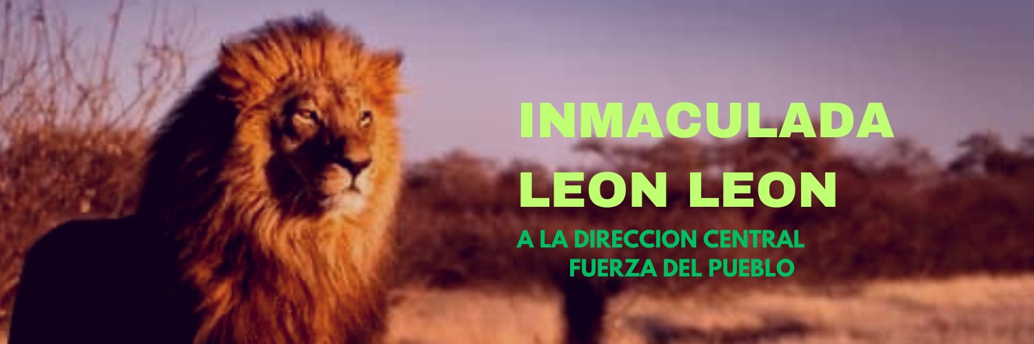Inmaculada León León banner