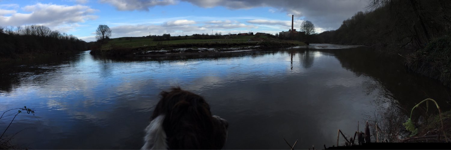 Adamlynch1996's profile banner image