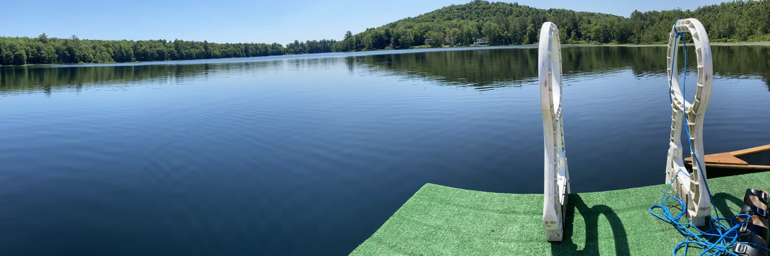 Shari Vincent banner