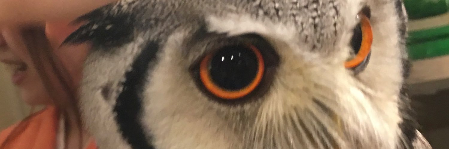THIAJ57's profile banner image